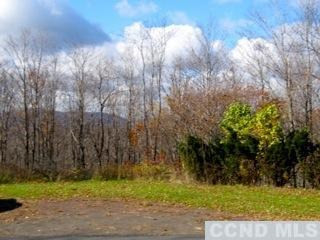 320 High Peak Road Windham, NY 12439 - Photo 7 of 10 a view of backyard with green space