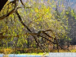 320 High Peak Road Windham, NY 12439 - Photo 8 of 10 a view of tree