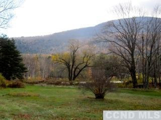 320 High Peak Road Windham, NY 12439 - Photo 10 of 10 a view of a backyard