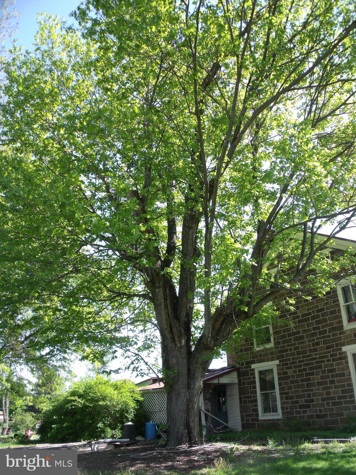 1807 Potts Hill Road Lewisberry, PA 17339 - Photo 10 of 38 Gallery Image 10