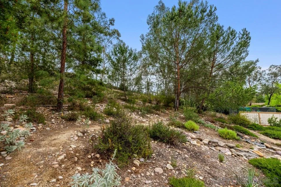 13873 Carriage Road Poway, CA 92064 - Photo 31 of 32 a view of a forest with trees