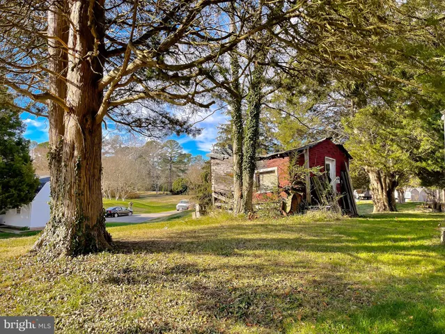 a view of a backyard with large trees