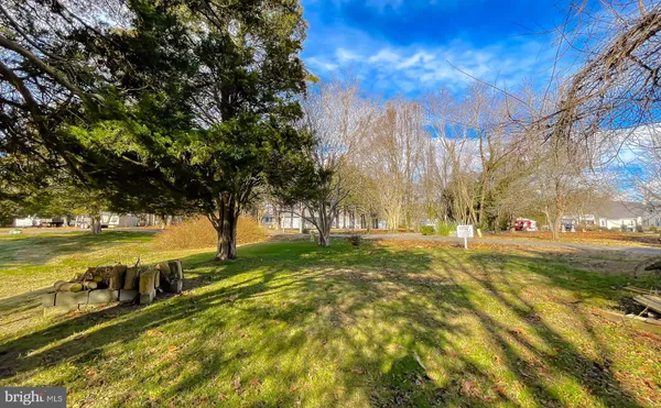 a view of a tree in the middle of a yard