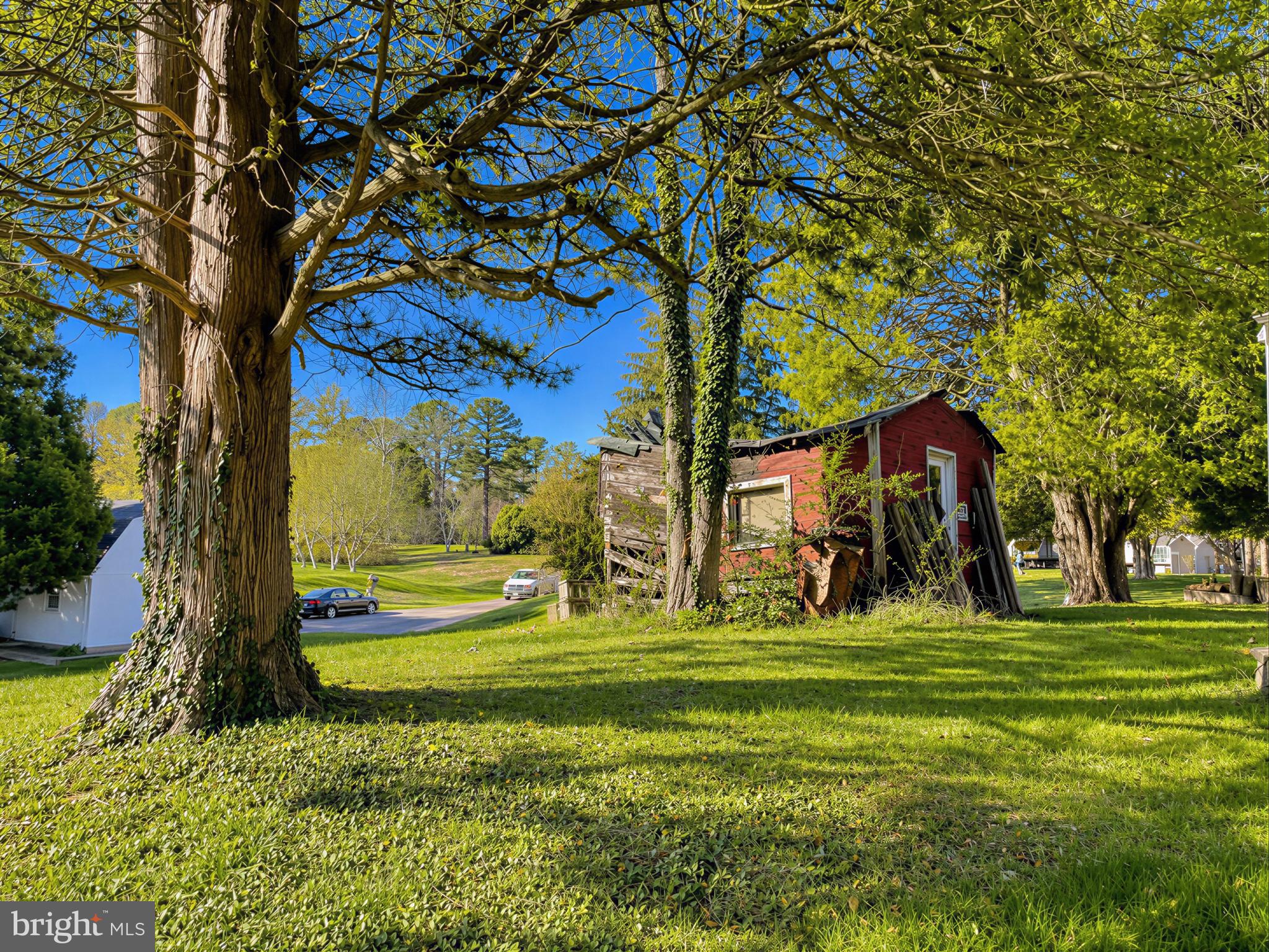 610 Rolling Hills Road Solomons, MD 20629 - Photo 32 of 43 a view of a trees in front of a house