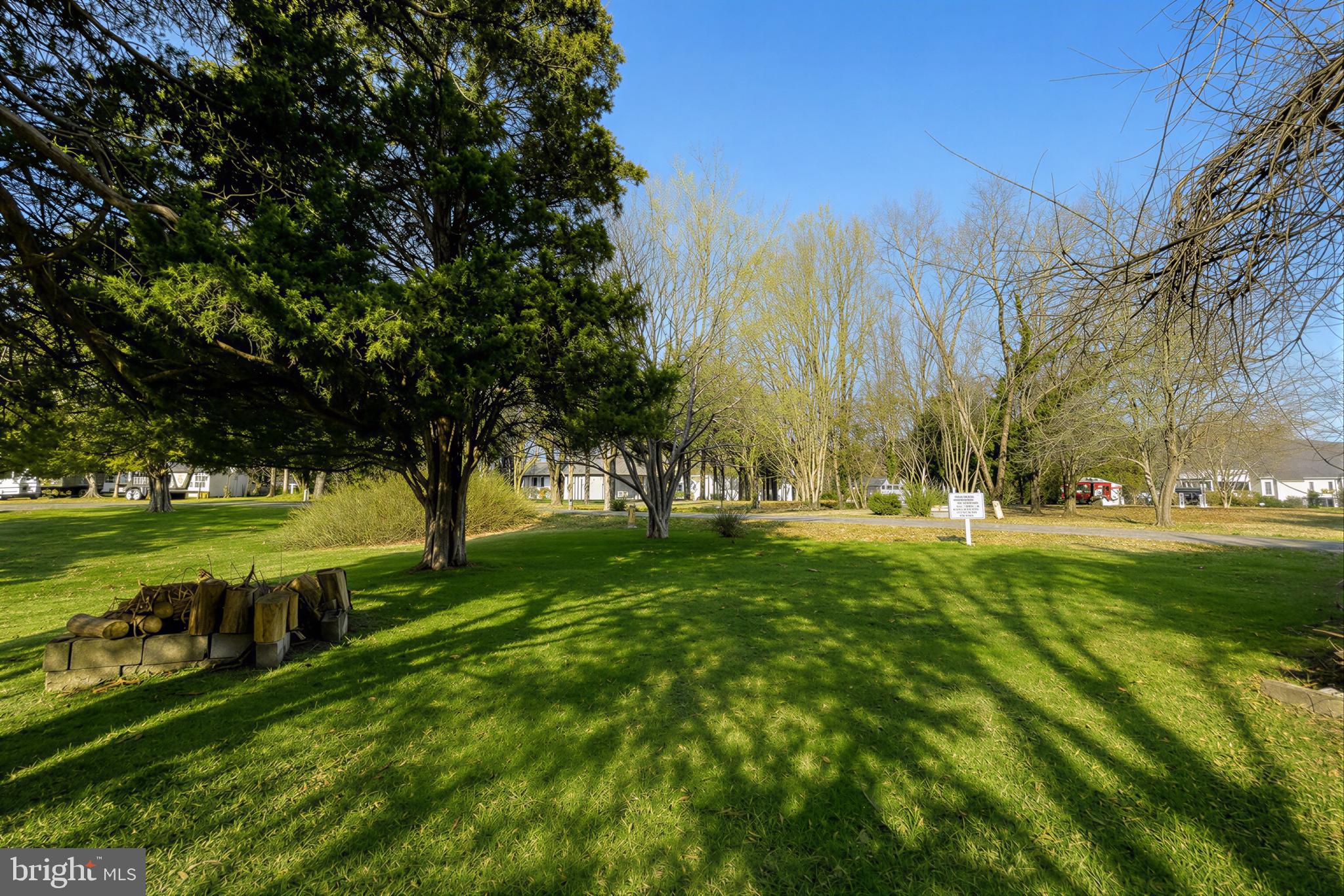 610 Rolling Hills Road Solomons, MD 20629 - Photo 33 of 43 a view of a yard with large trees