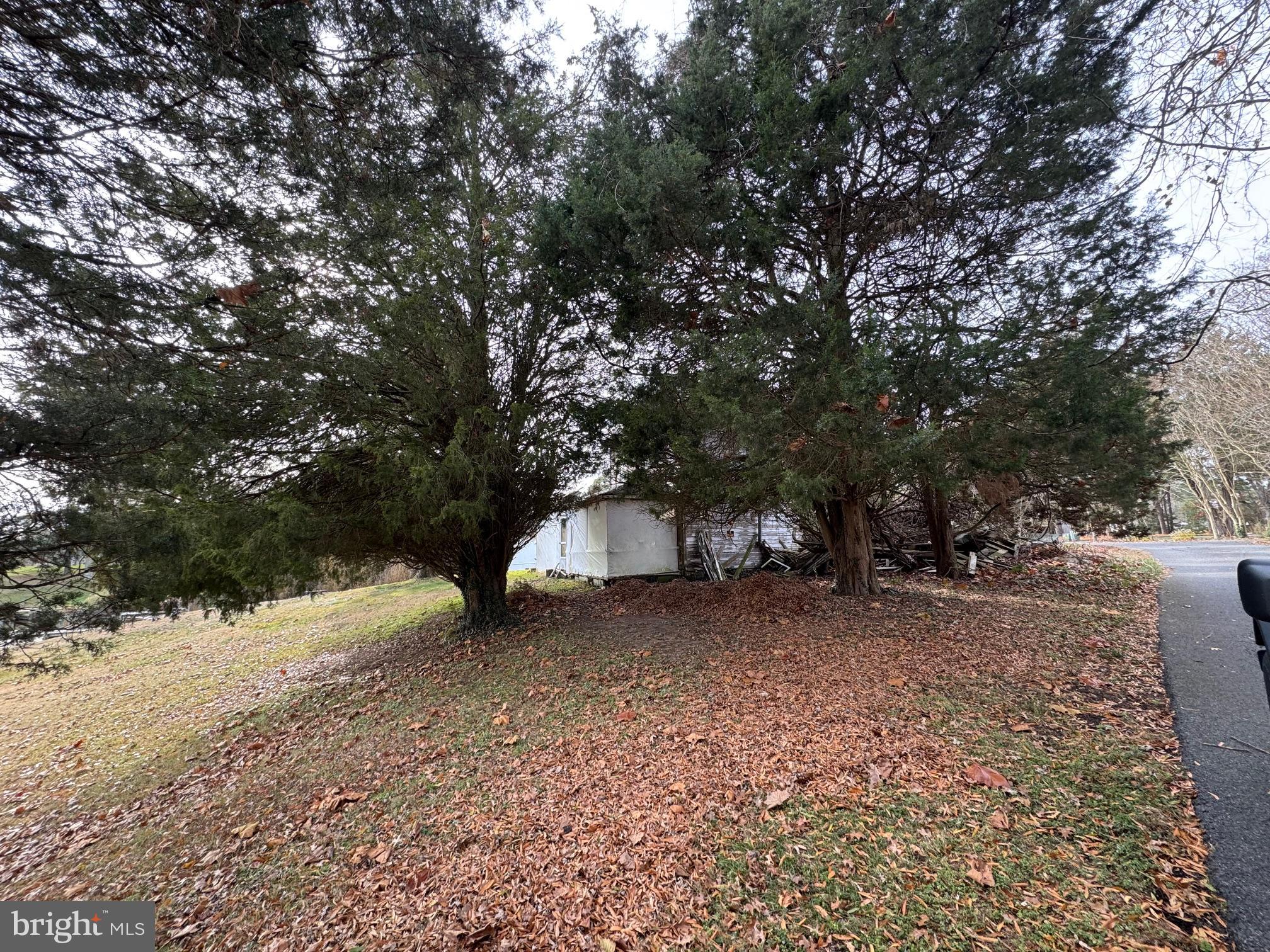 610 Rolling Hills Road Solomons, MD 20629 - Photo 38 of 43 a view of a tree in the middle of a yard