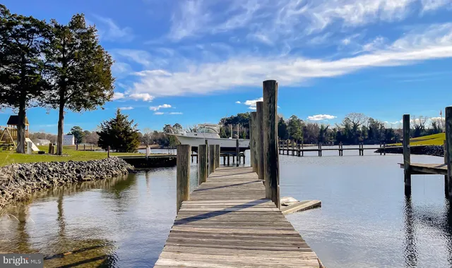 a view of a lake with boats and trees in the background