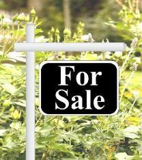 38273 North State Park Rd  