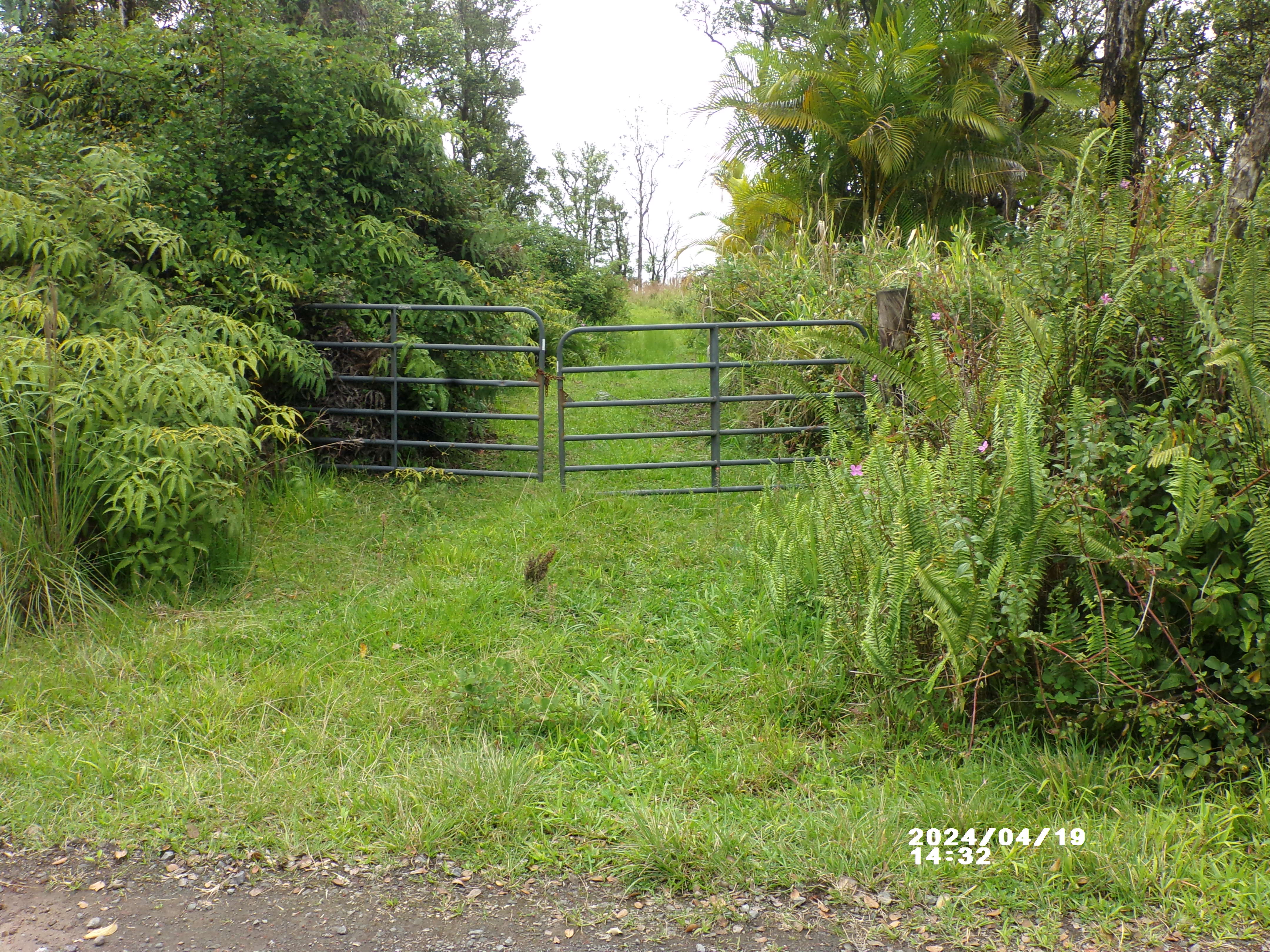11-2202 Omeka Road Mountain View, HI 96771 - Photo 1 of 12 Gallery Image 1