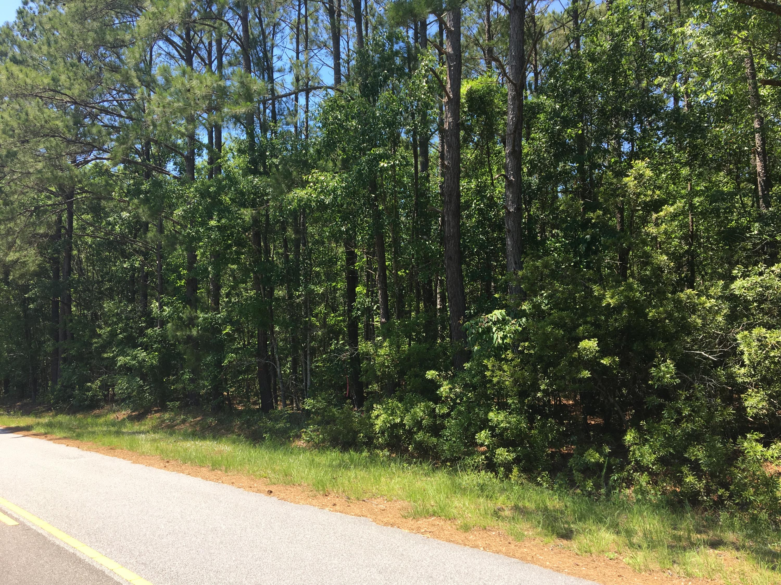 Lot 3 Maxville Road Awendaw, SC 29429 - Photo 2 of 6 Front