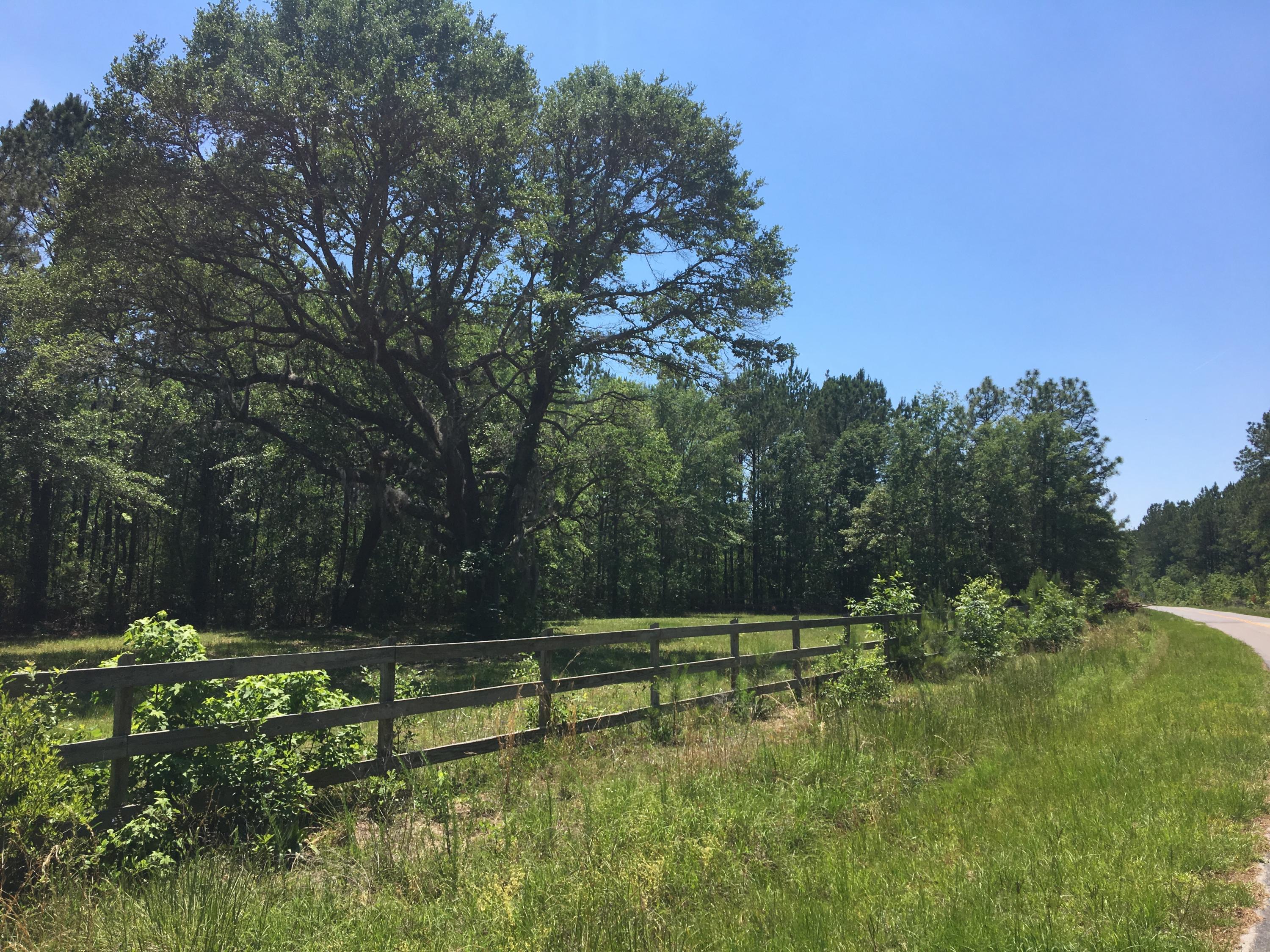 Lot 3 Maxville Road Awendaw, SC 29429 - Photo 3 of 6 Property Across the Street