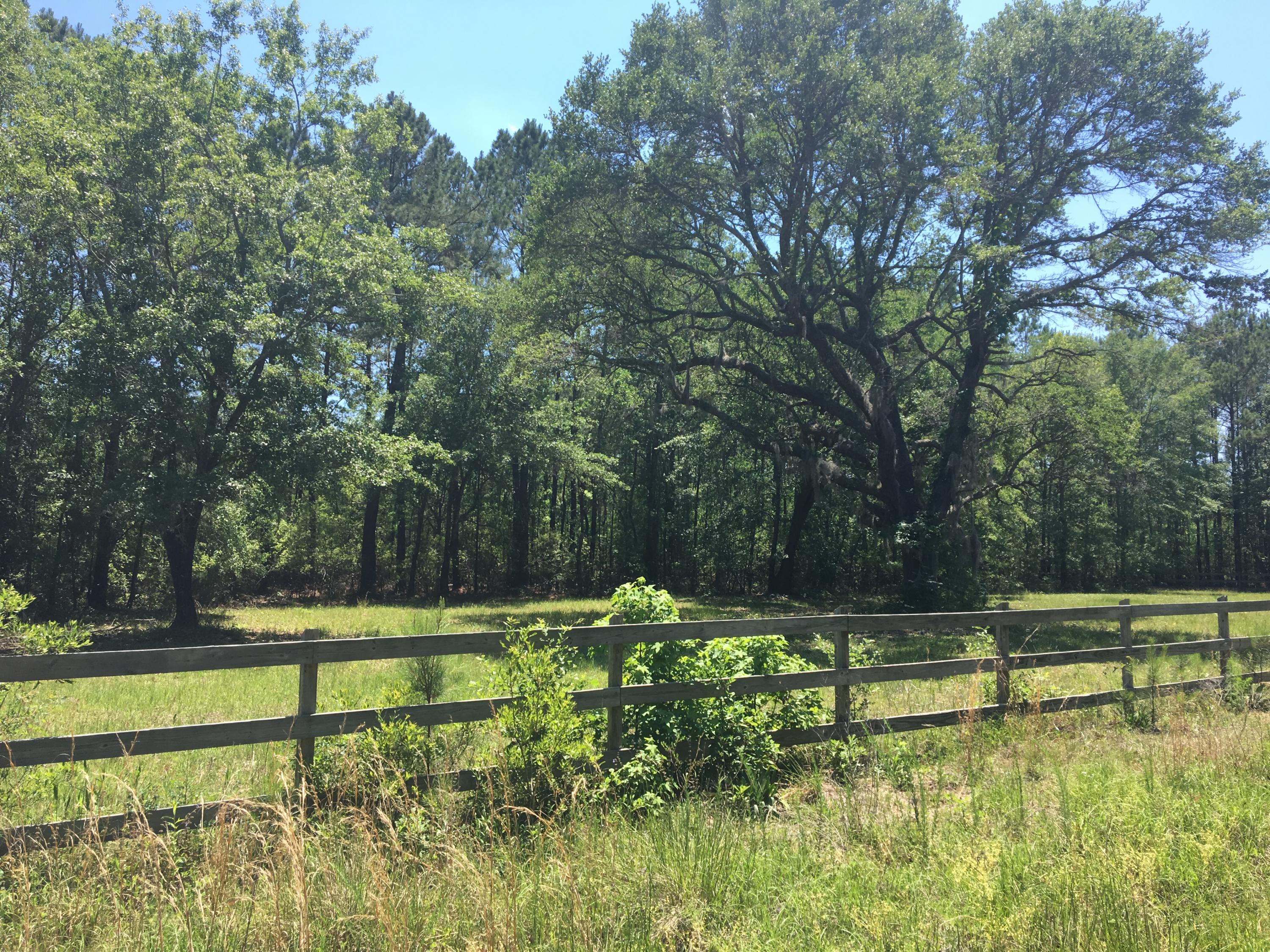 Lot 3 Maxville Road Awendaw, SC 29429 - Photo 4 of 6 Property Across the Street