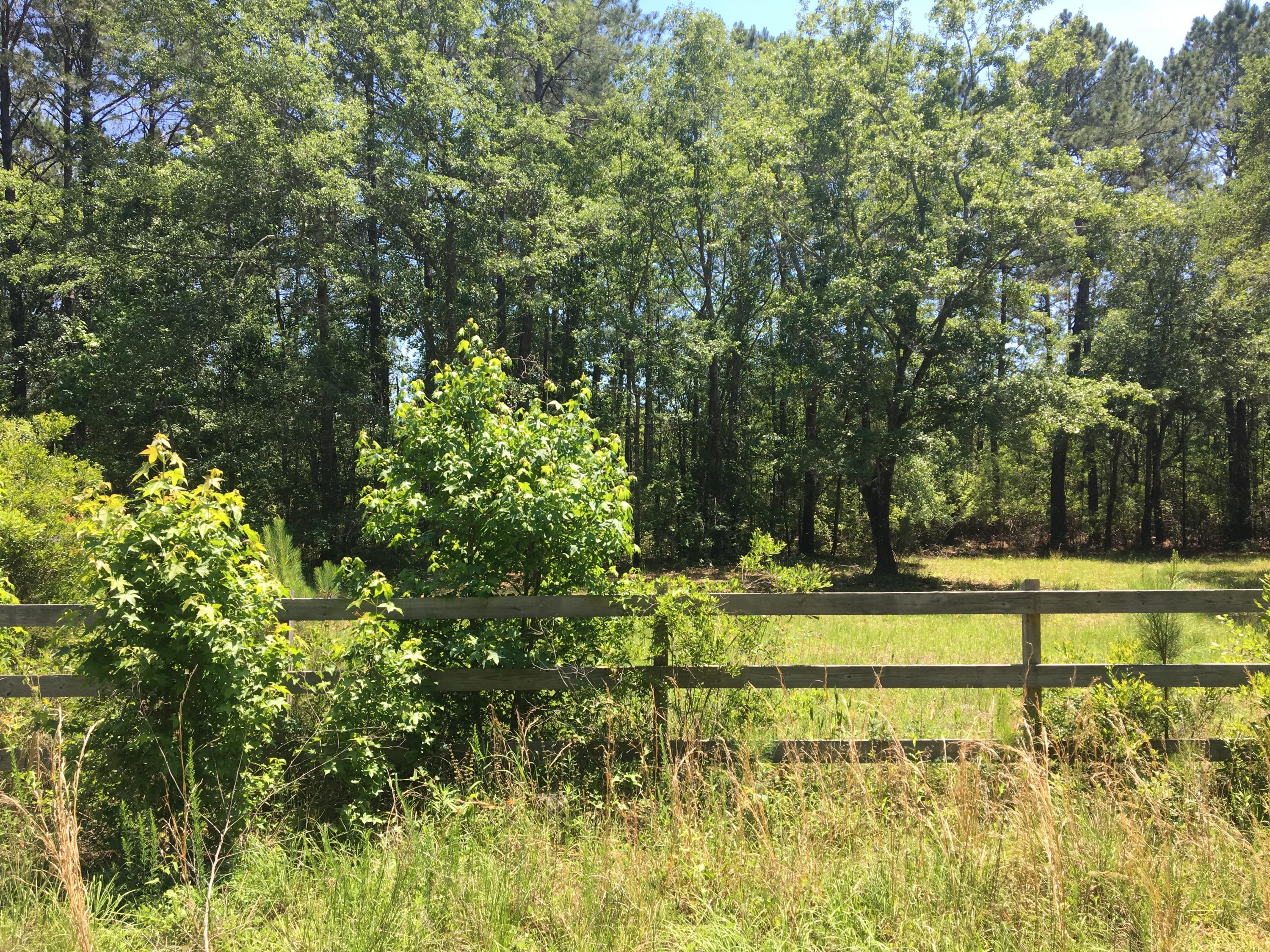 Lot 3 Maxville Road Awendaw, SC 29429 - Photo 5 of 6 Across the Street