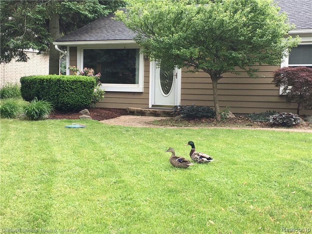 223 Ruppert Street Commerce Township, MI 48382 - Photo 3 of 31 Move over...company's coming!