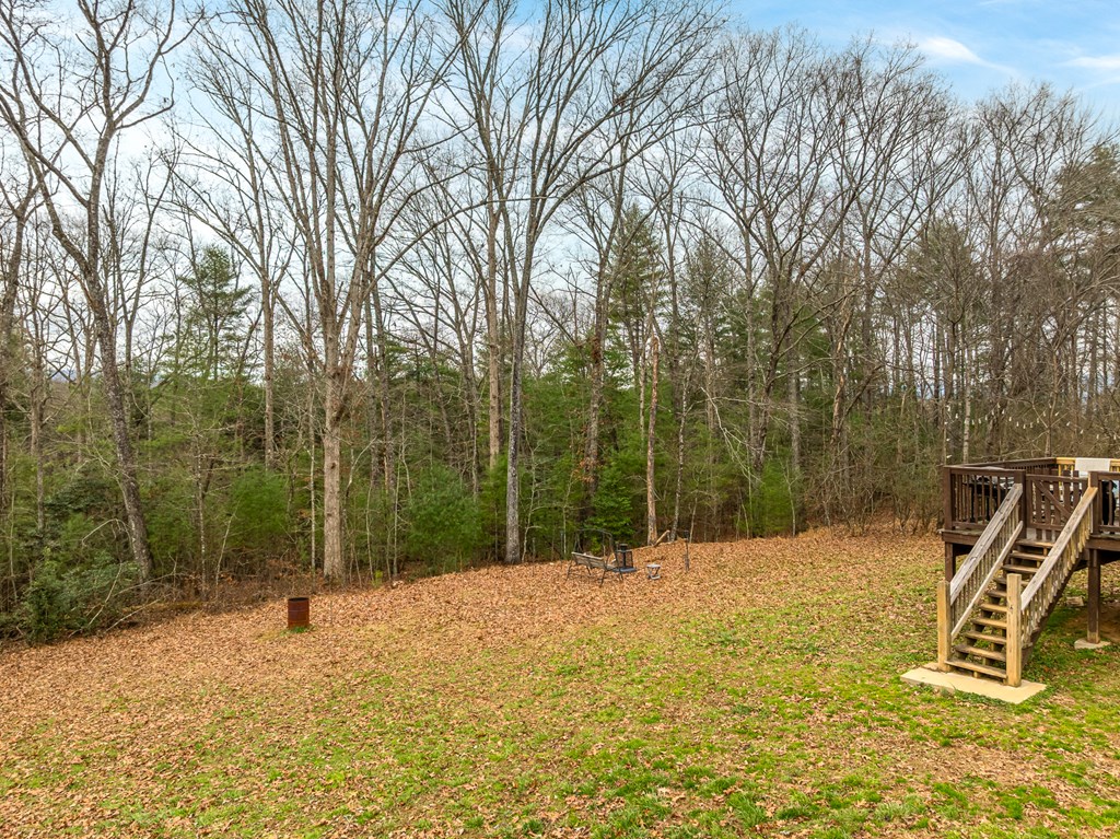 684 Ash Loop Road Blue Ridge, GA 30513 - Photo 29 of 29