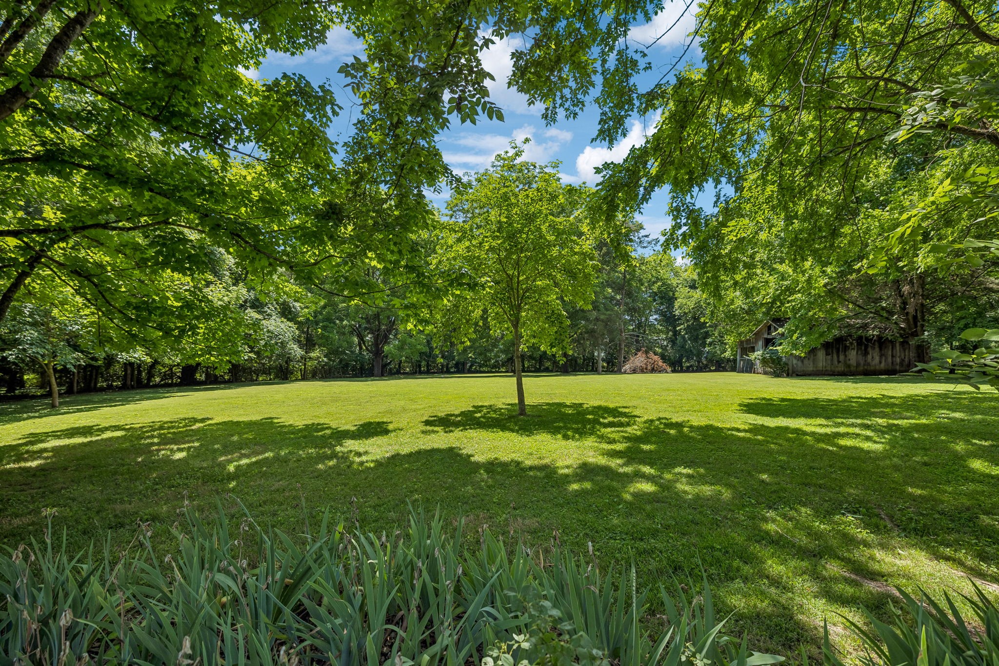 1505 Hillsboro Road Franklin, TN 37069 - Photo 50 of 73 Gallery Image 50