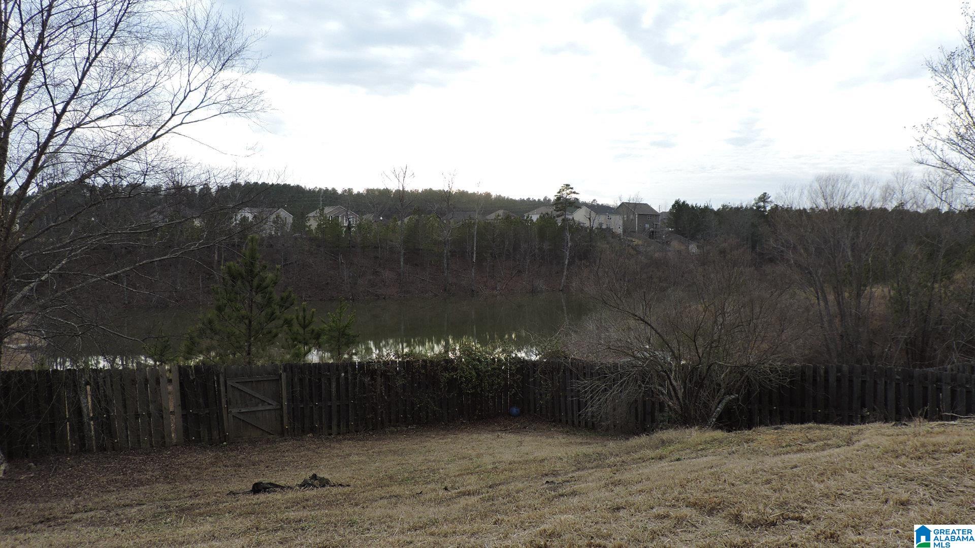 515 Village Springs Lane Springville, AL 35146 - Photo 4 of 19