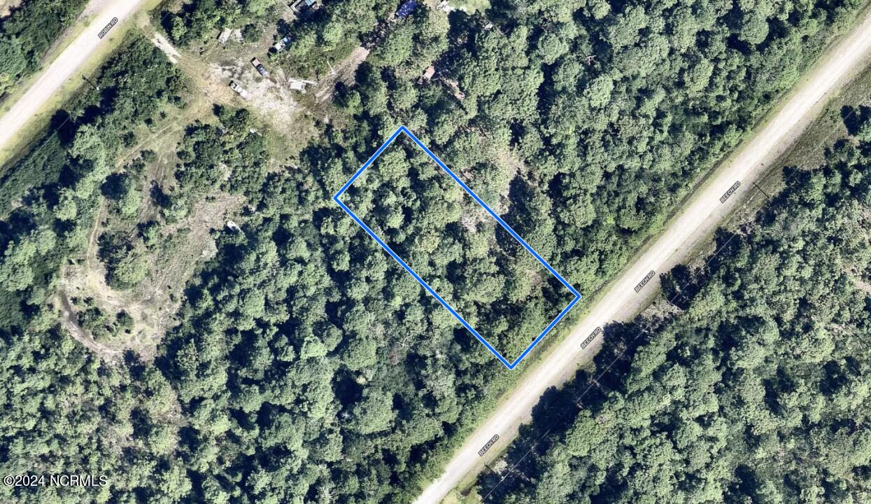 653 Beech Road Boiling Spring Lakes, NC 28461 - Photo 2 of 3 2