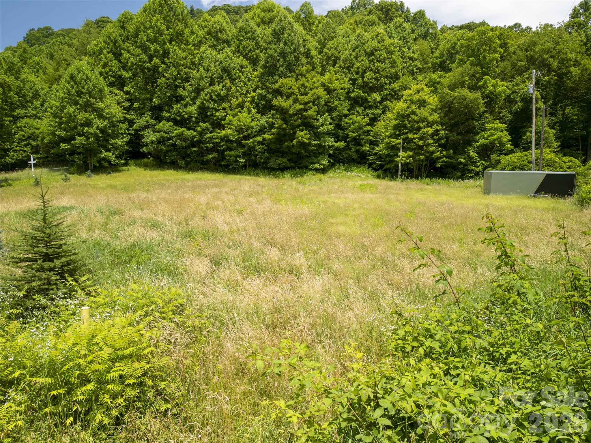 168 Smith Creek Road Mars Hill, NC 28754 - Photo 8 of 46
