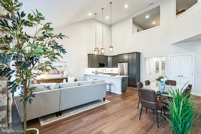 a living room with furniture kitchen view and a potted plant