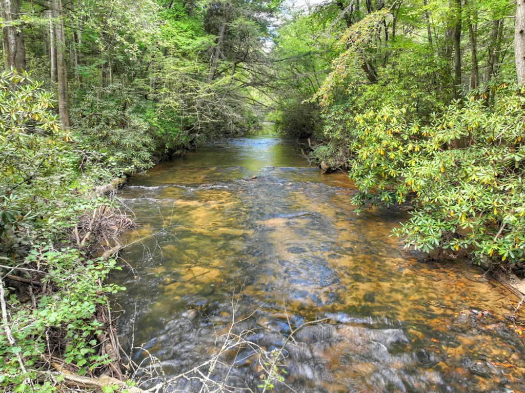 Lot 5 Chief Ron Green Trail Blue Ridge, GA 30513 - Photo 9 of 18 Gallery Image 9