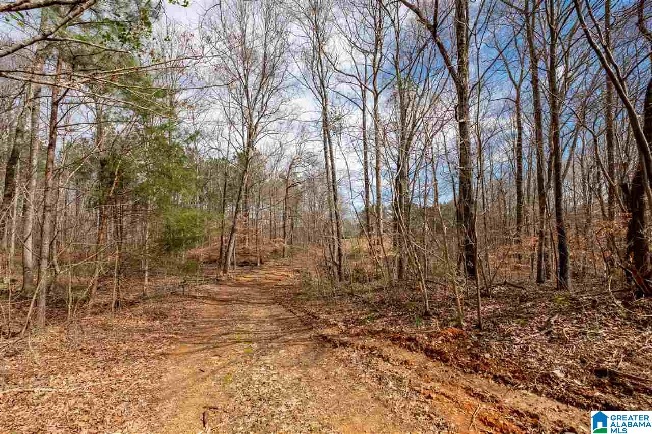 1295 Crawford Cove Road Springville, AL 35146 - Photo 26 of 27