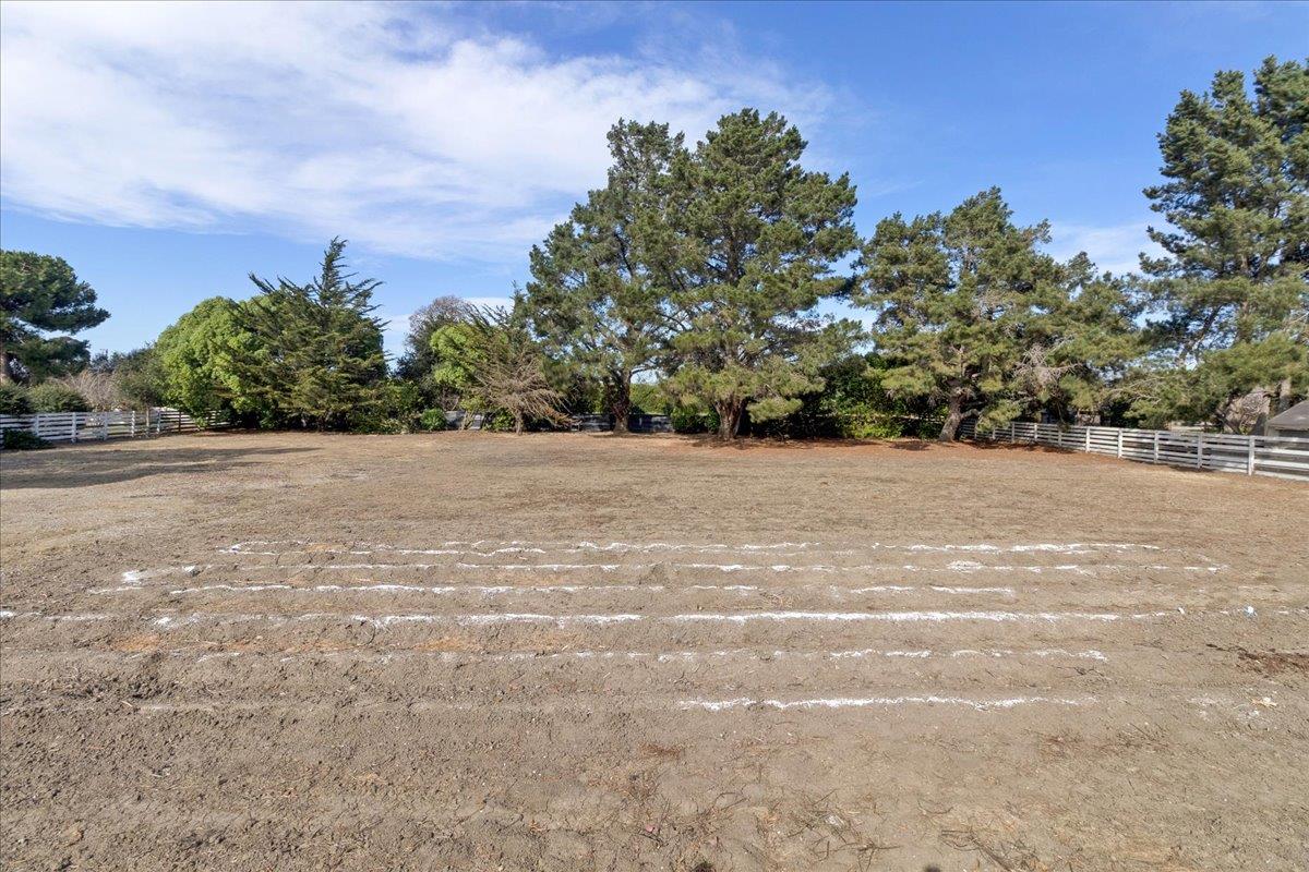 18595 Ranchito Del Rio Drive Salinas, CA 93908 - Photo 36 of 40 a view of a trees with a yard