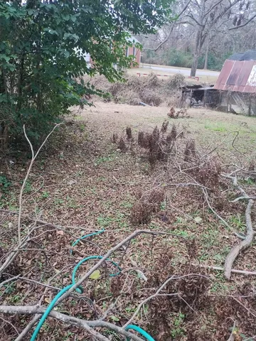 $10,500 | 0 Summerland Avenue, Batesburg, SC 29006