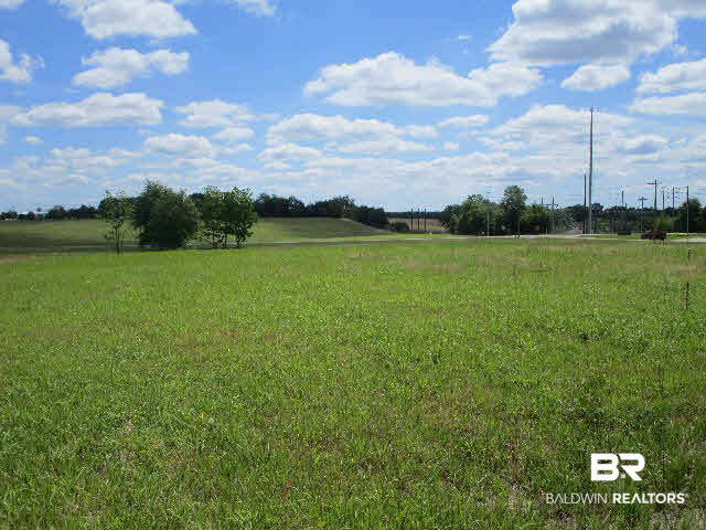 25953 Brewer Road Robertsdale, AL 36567 - Photo 5 of 6