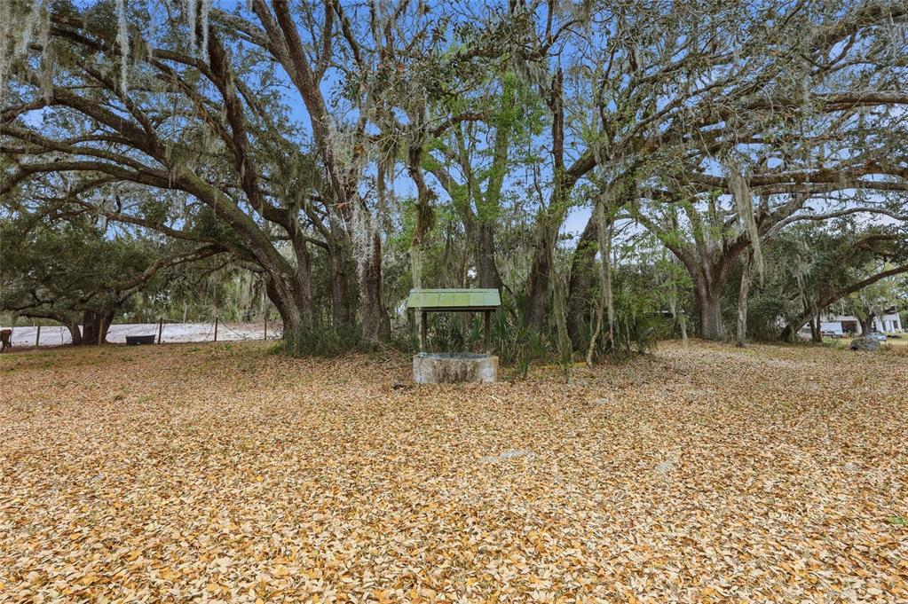 2505 Canal Road Lake Wales, FL 33898 - Photo 36 of 41