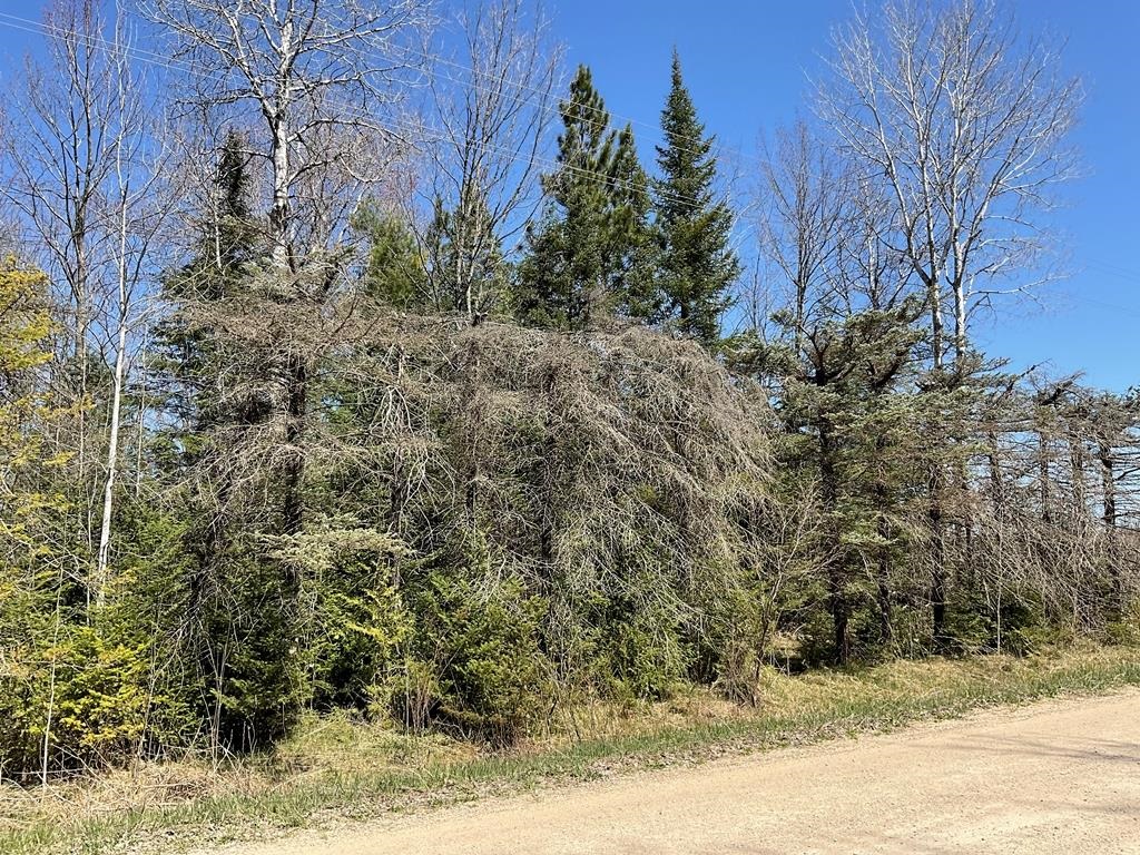 3435 Cool Road Southeast Kalkaska, MI 49646 - Photo 18 of 18