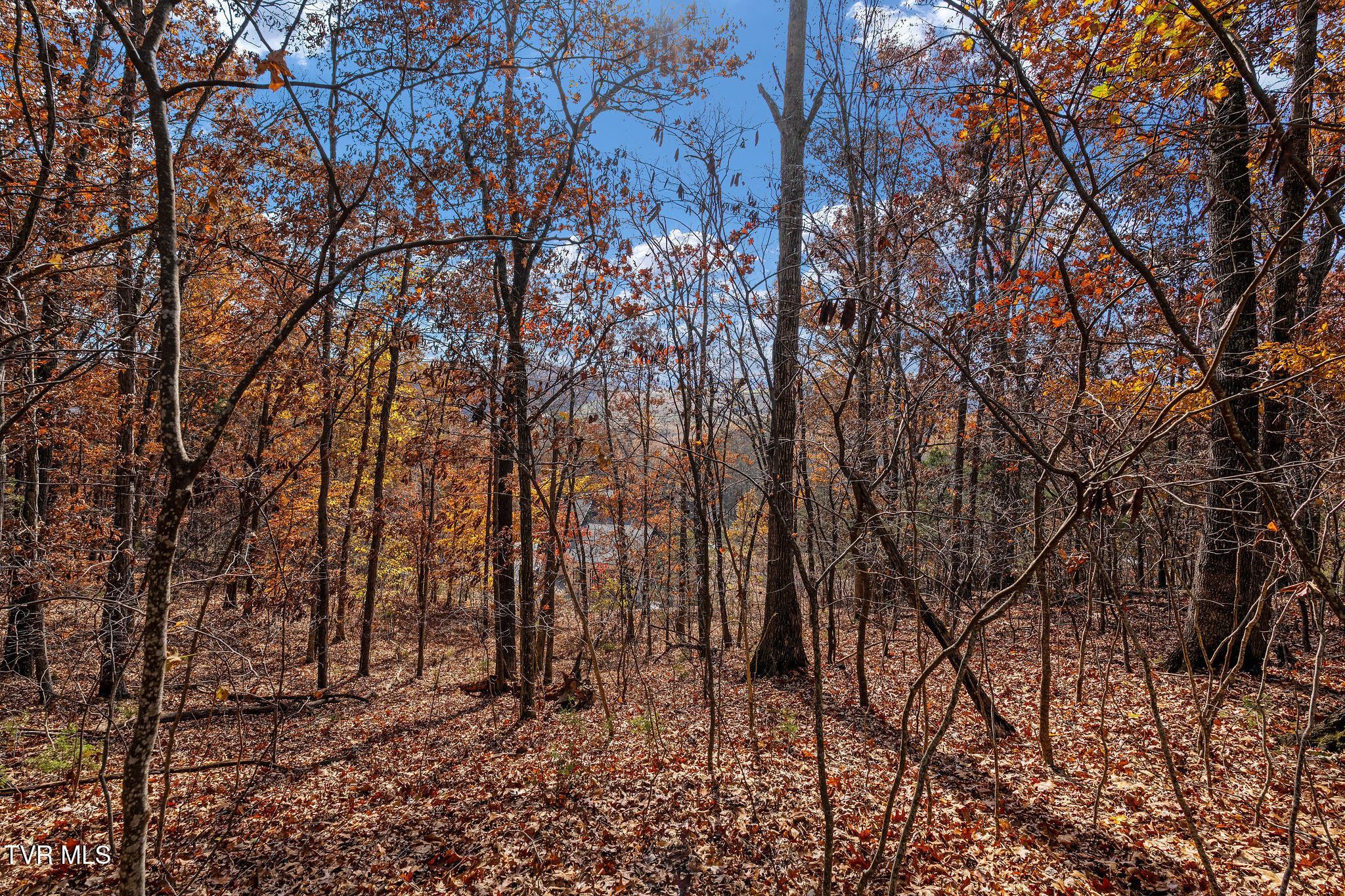 384 Boring Chapel Road Gray, TN 37615 - Photo 103 of 126 DSC09173