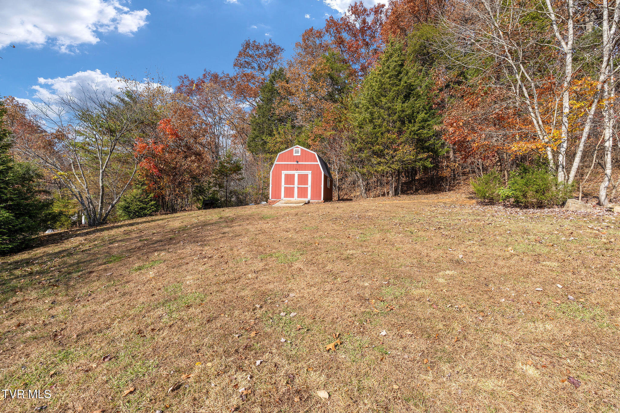384 Boring Chapel Road Gray, TN 37615 - Photo 109 of 126 DSC09143