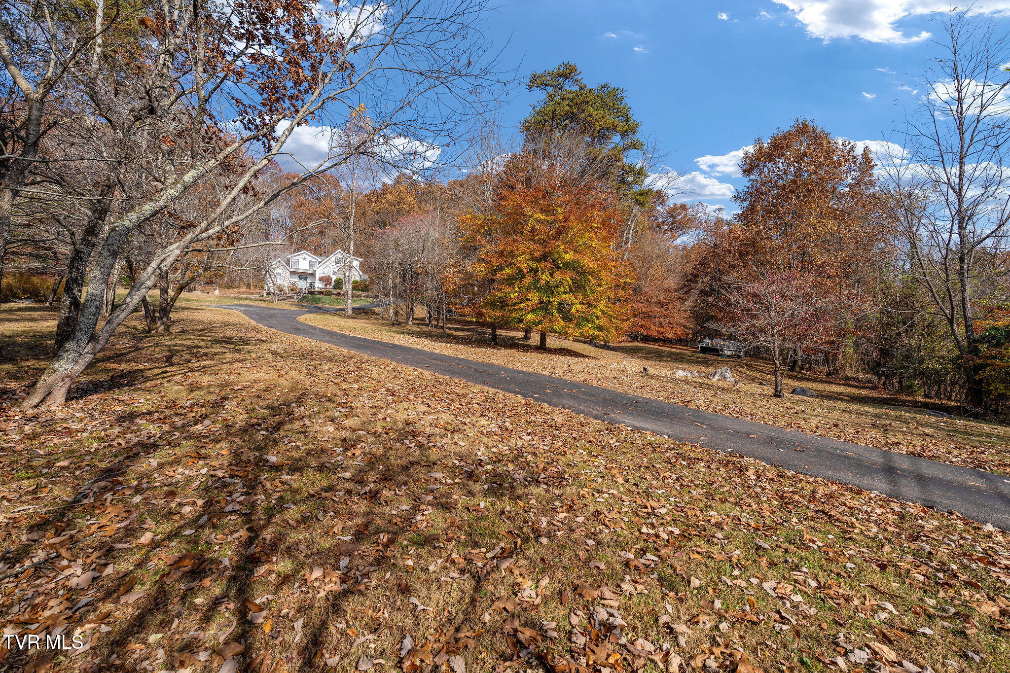 384 Boring Chapel Road Gray, TN 37615 - Photo 114 of 126 DSC09136