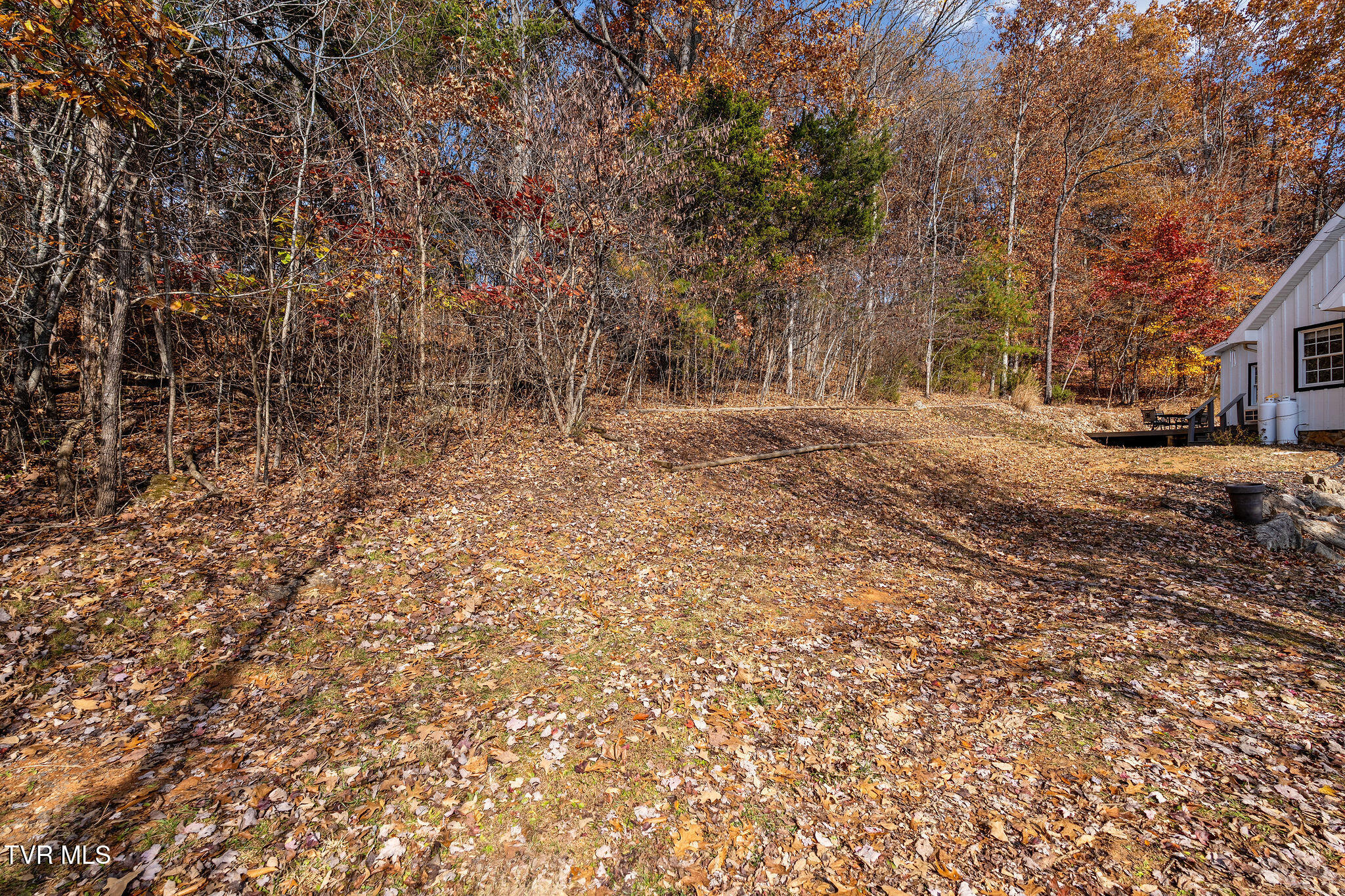 384 Boring Chapel Road Gray, TN 37615 - Photo 117 of 126 DSC09168
