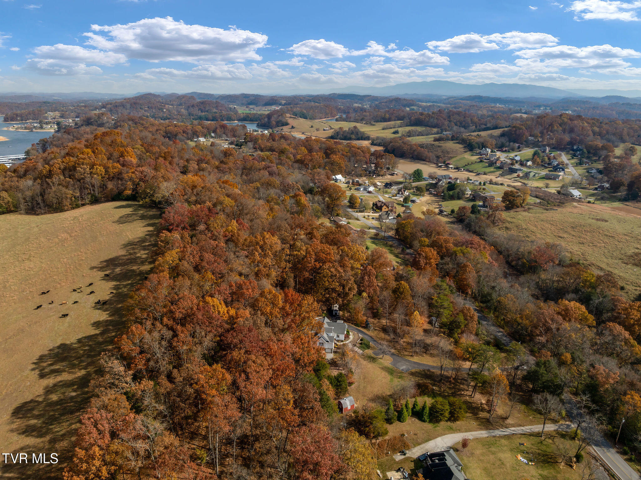 384 Boring Chapel Road Gray, TN 37615 - Photo 120 of 126 DJI_0832