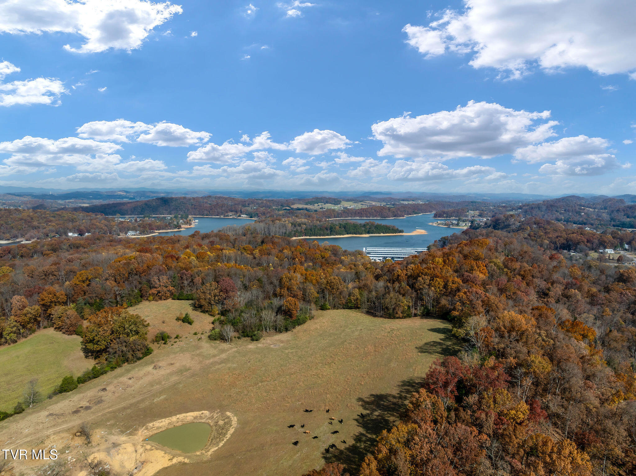 384 Boring Chapel Road Gray, TN 37615 - Photo 122 of 126 DJI_0827