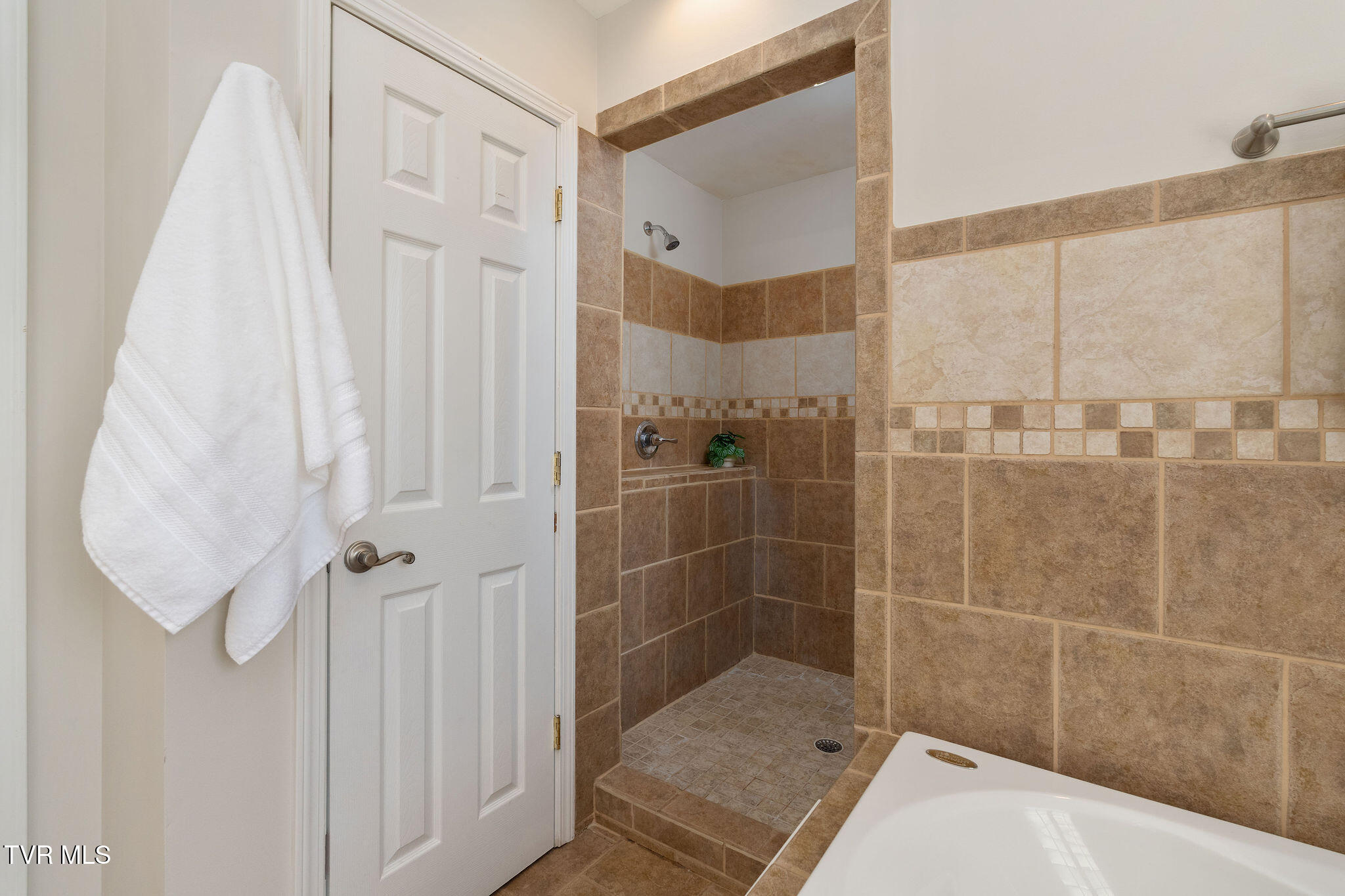 384 Boring Chapel Road Gray, TN 37615 - Photo 38 of 126 DSC08920