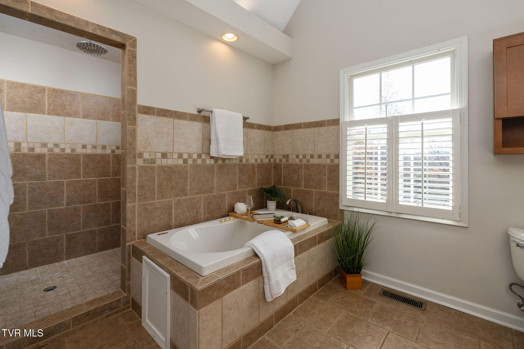 384 Boring Chapel Road Gray, TN 37615 - Photo 39 of 126 DSC08909