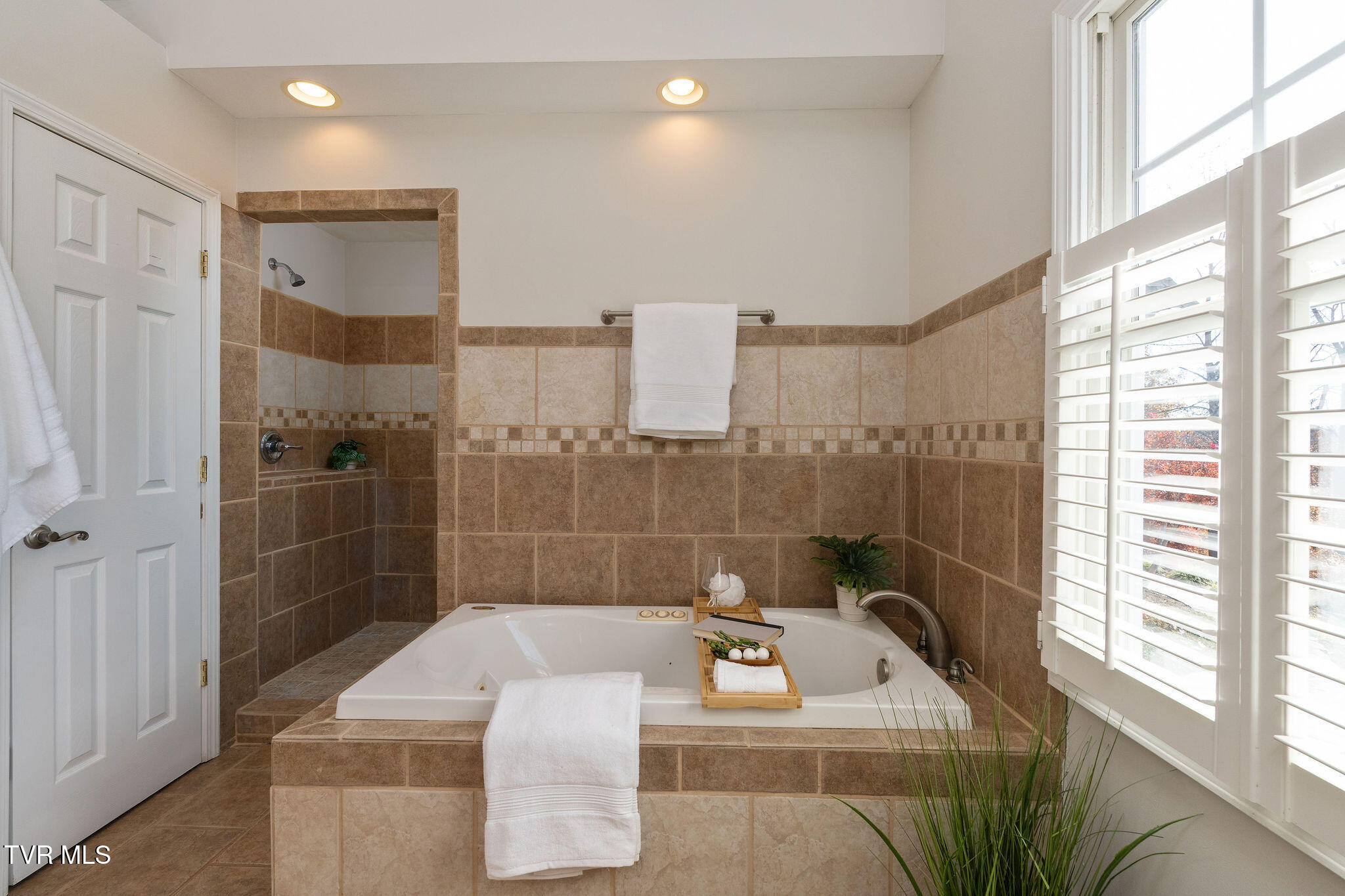 384 Boring Chapel Road Gray, TN 37615 - Photo 40 of 126 DSC08915