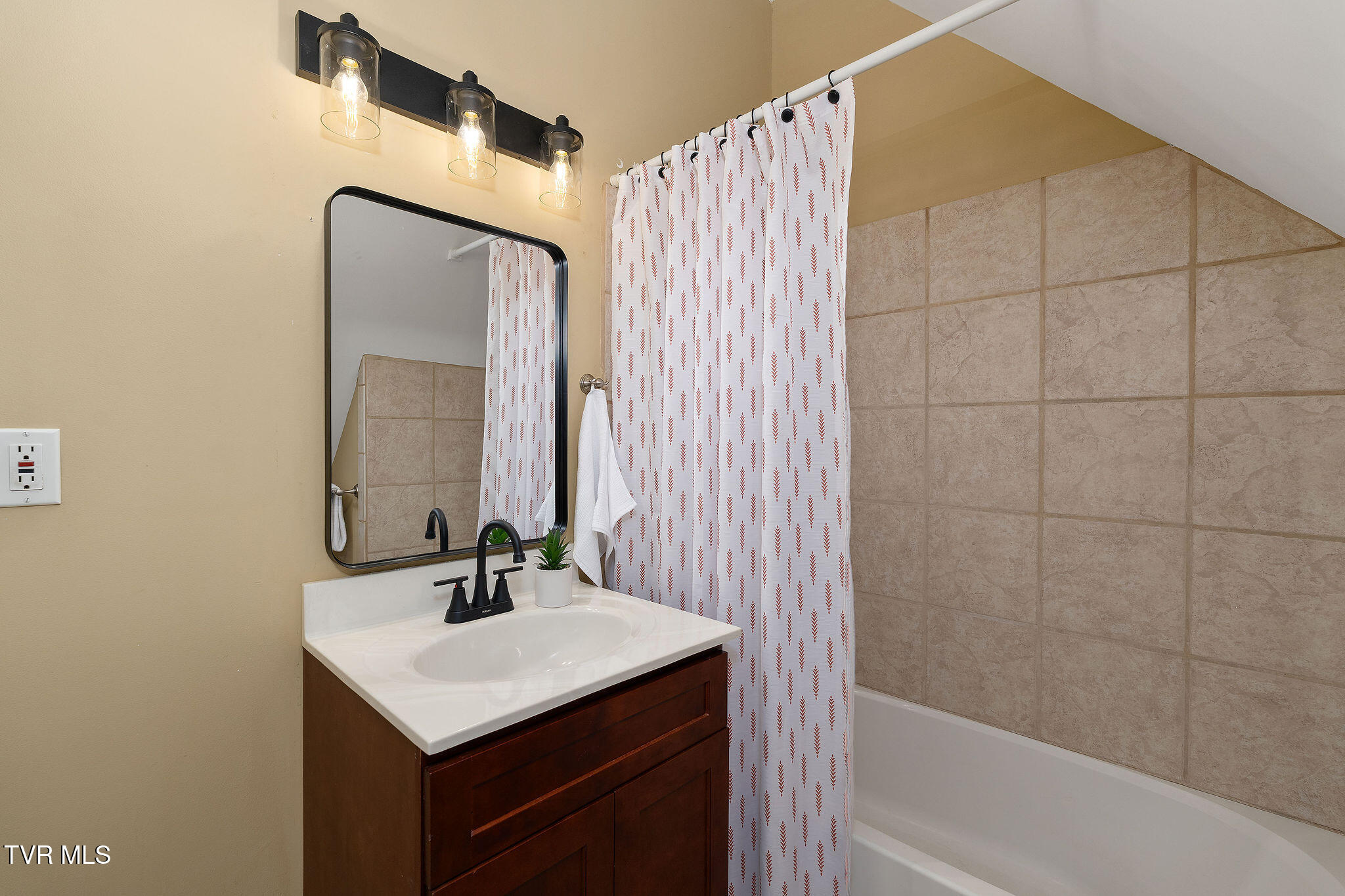 384 Boring Chapel Road Gray, TN 37615 - Photo 55 of 126 DSC09071