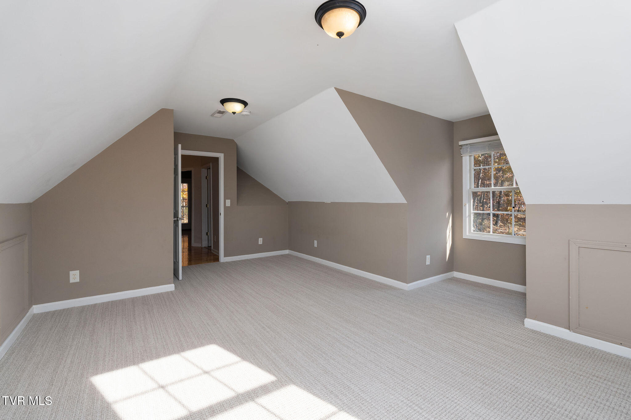 384 Boring Chapel Road Gray, TN 37615 - Photo 57 of 126 DSC09079