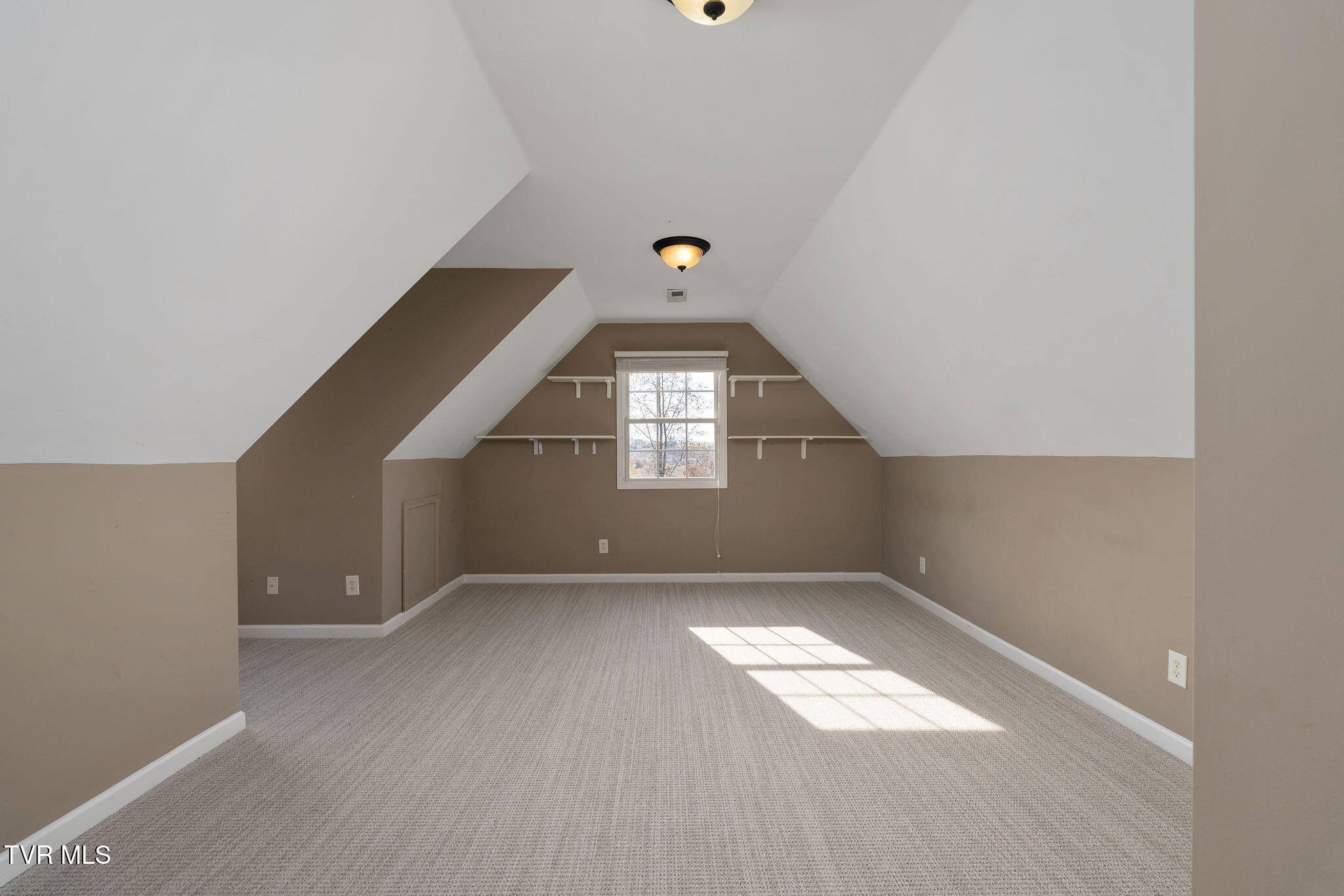 384 Boring Chapel Road Gray, TN 37615 - Photo 58 of 126 DSC09073