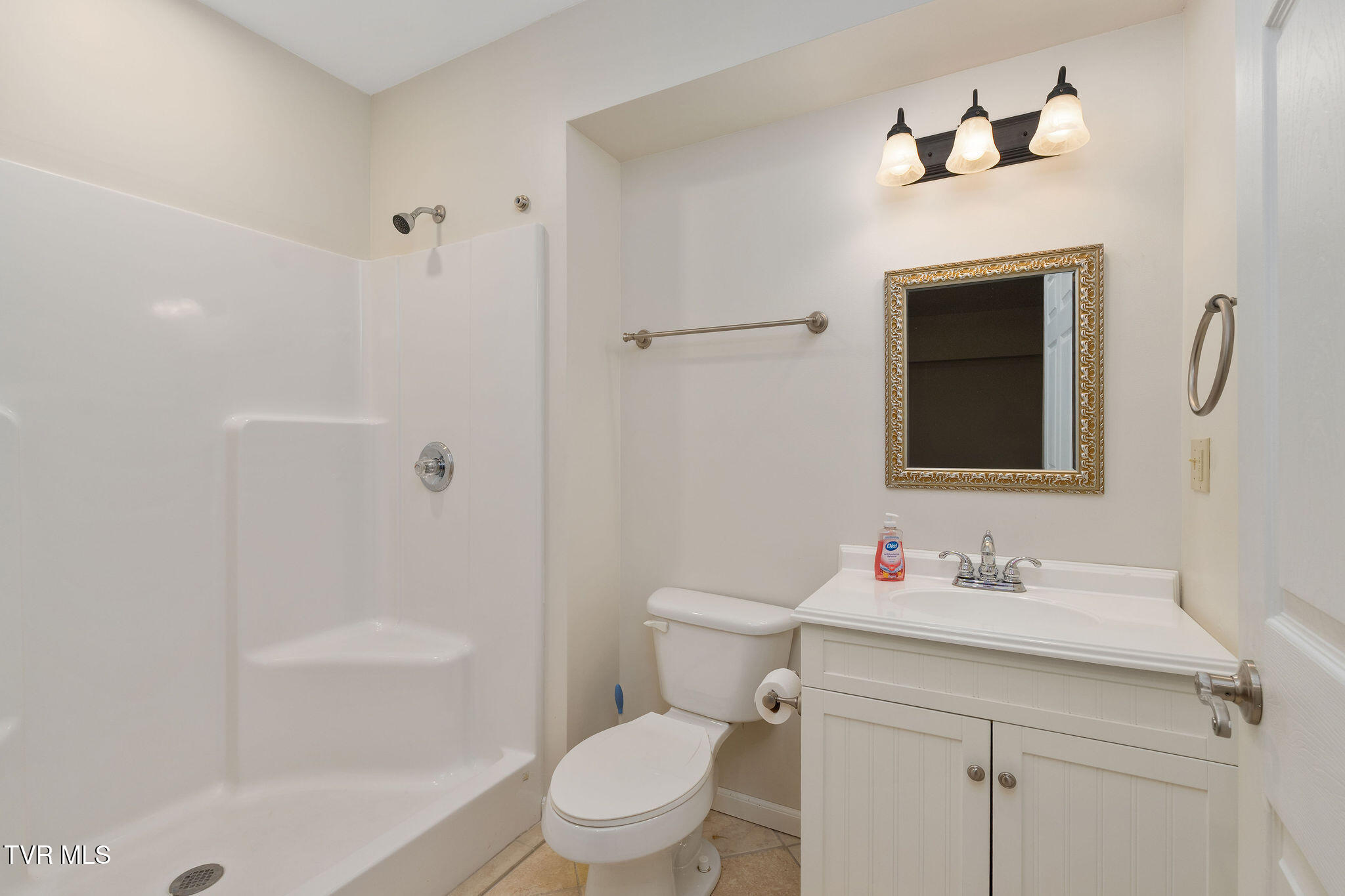 384 Boring Chapel Road Gray, TN 37615 - Photo 78 of 126 DSC09118