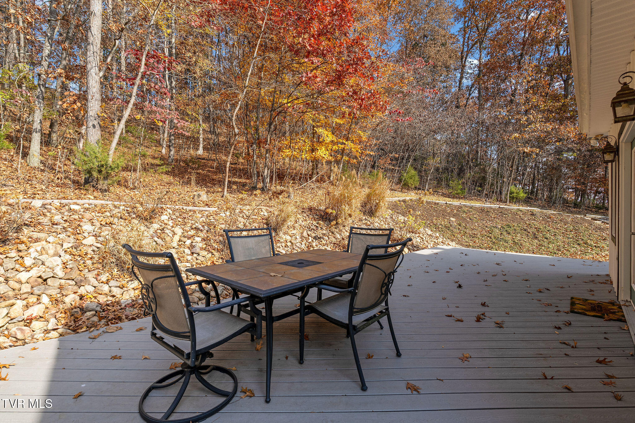 384 Boring Chapel Road Gray, TN 37615 - Photo 87 of 126 DSC09164