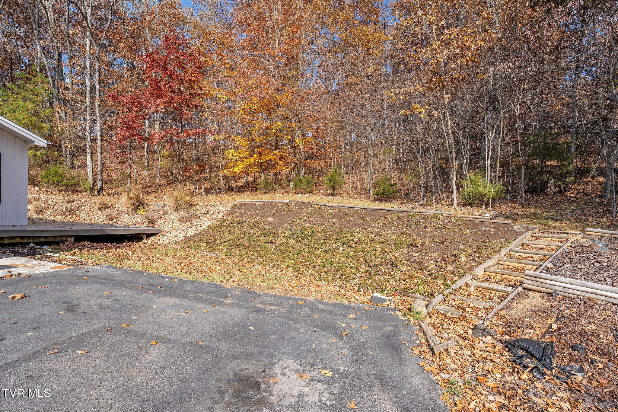 384 Boring Chapel Road Gray, TN 37615 - Photo 93 of 126 DSC09159