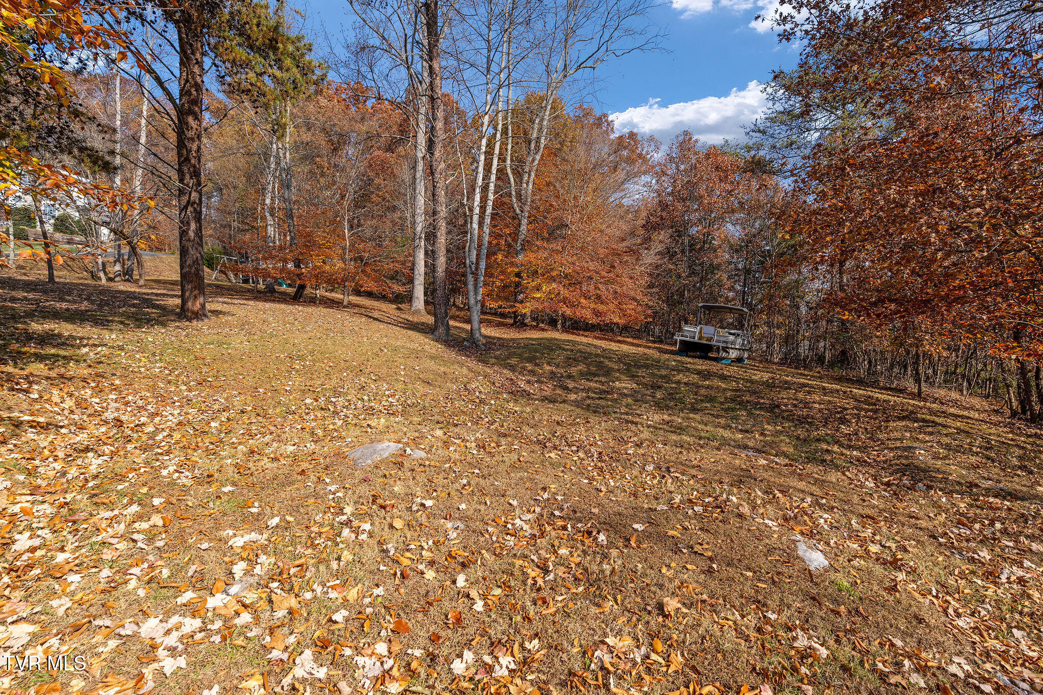 384 Boring Chapel Road Gray, TN 37615 - Photo 98 of 126 DSC09138