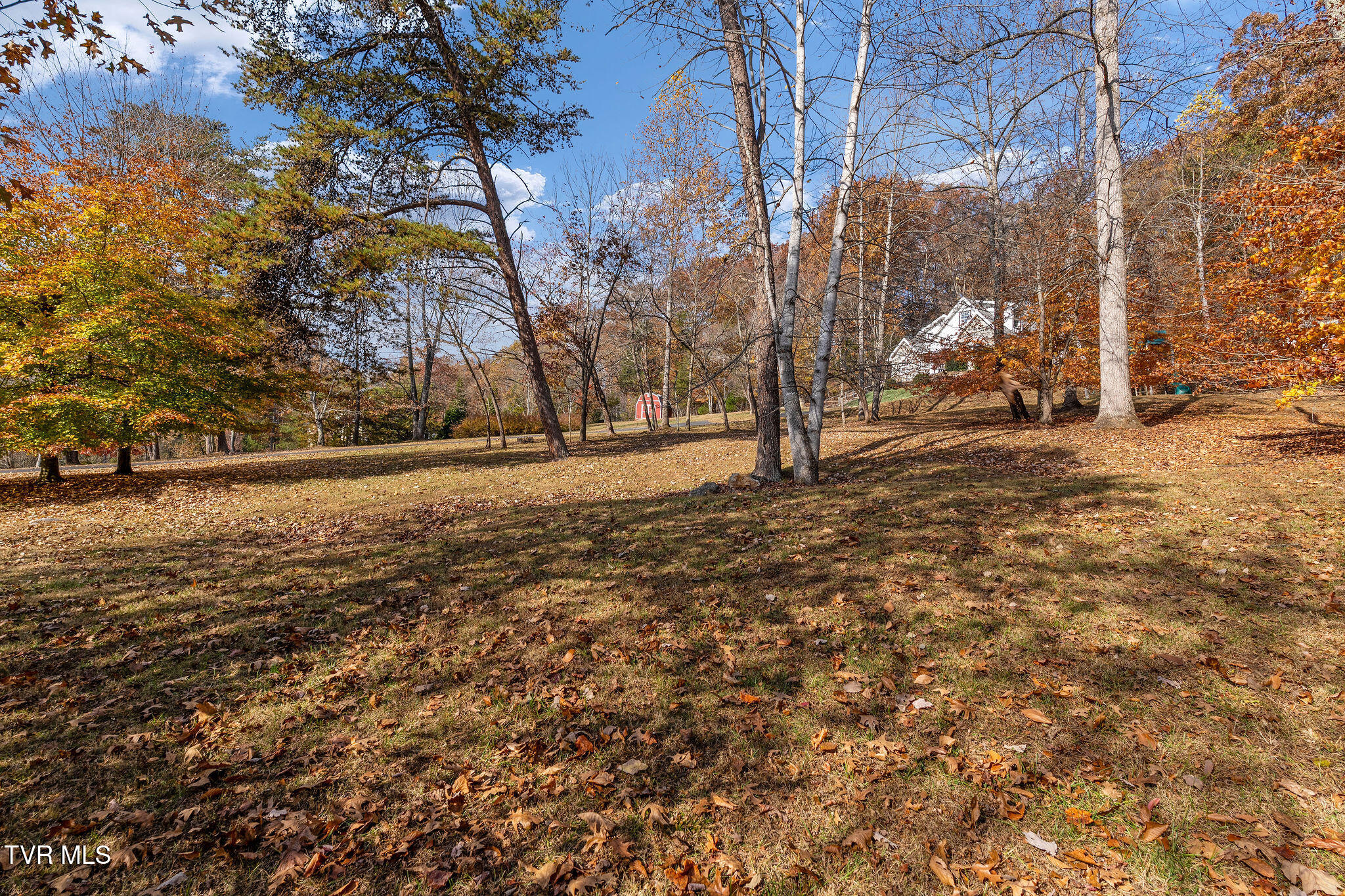 384 Boring Chapel Road Gray, TN 37615 - Photo 100 of 126 DSC09139