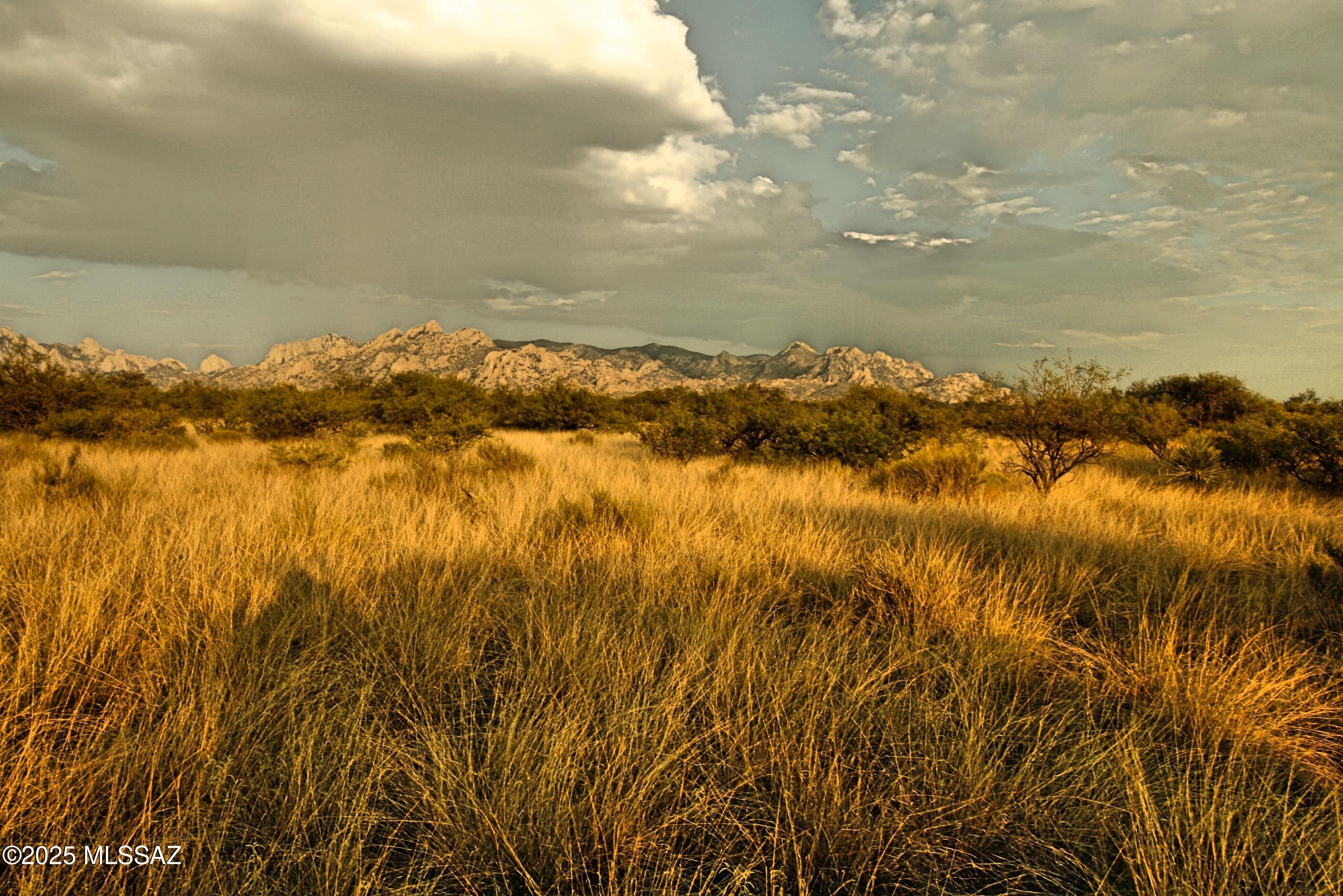 Lot 17 North Dragoon Ranch Rd Street, Unit 17 St. David, AZ 85630 - Photo 10 of 24
