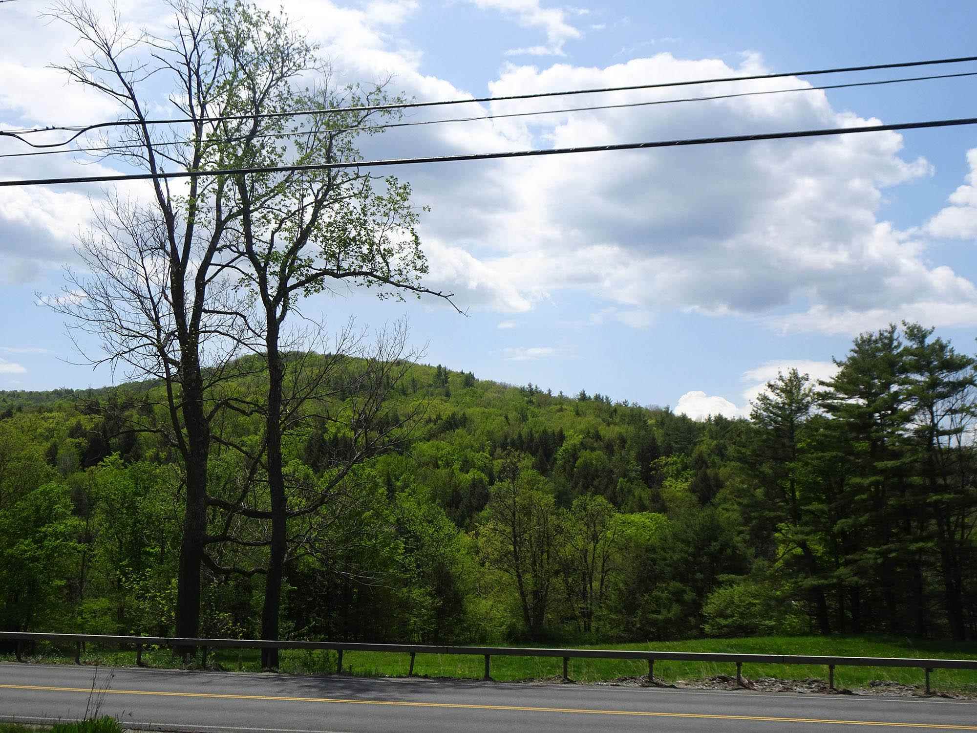 899 Saxtons River Road Rockingham, VT 05143 - Photo 11 of 26